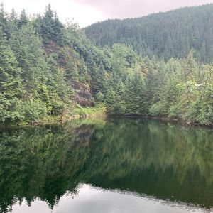 Meet your Posher, Ally